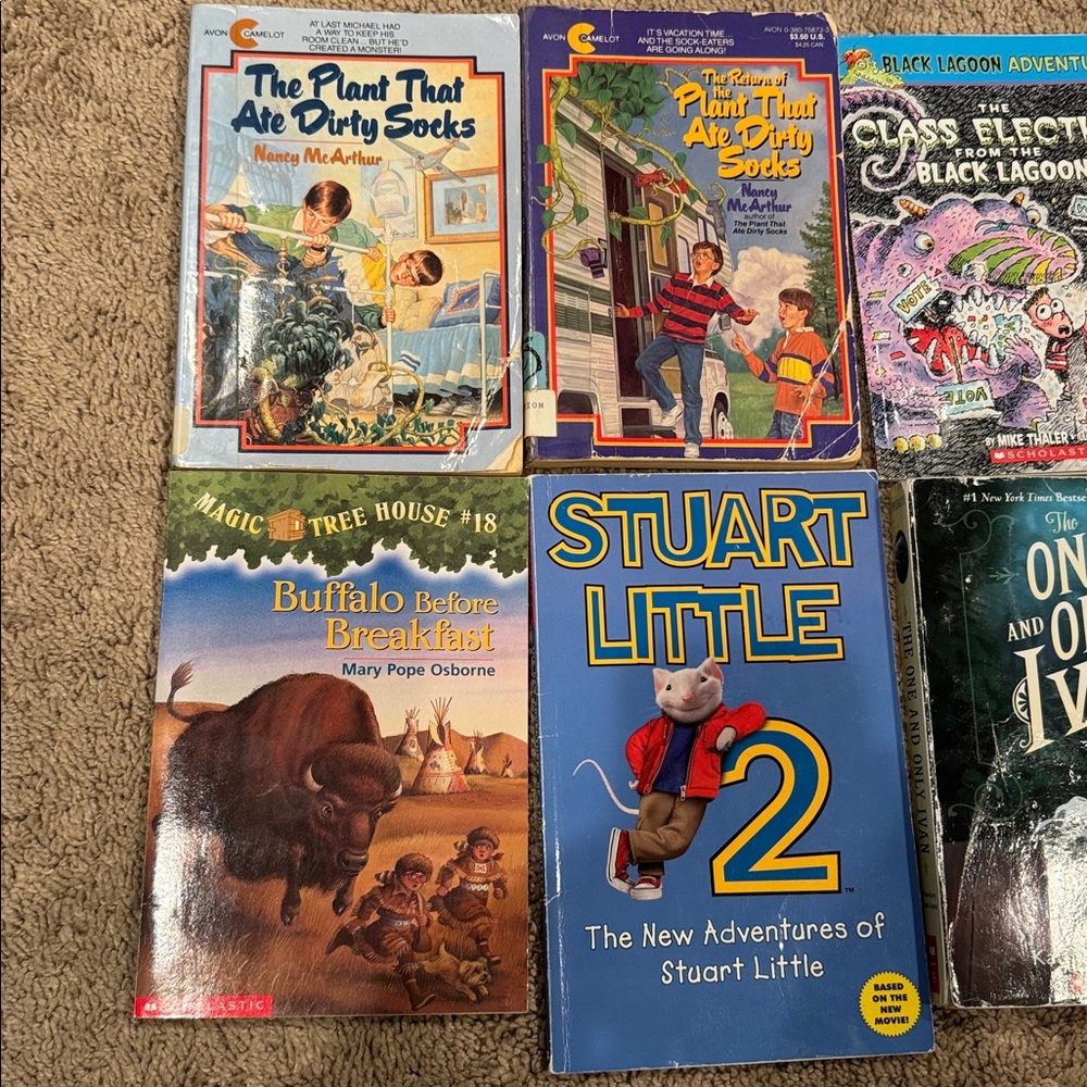 Chapter Books Bundle - Picture 2 of 4